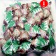 COCA LEAF CANDY WITH CAT'S CLAW , BAG X 1 KG